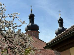 Quelle: Palliative Care Forum, Dr. Verena Wetzstein