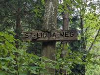 Wegweiser aus Holz an einem Baum
