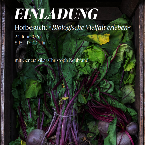 Quelle: Erzdiözese Freiburg