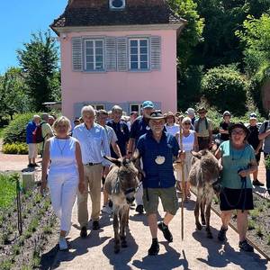 Quelle: Europa-Park